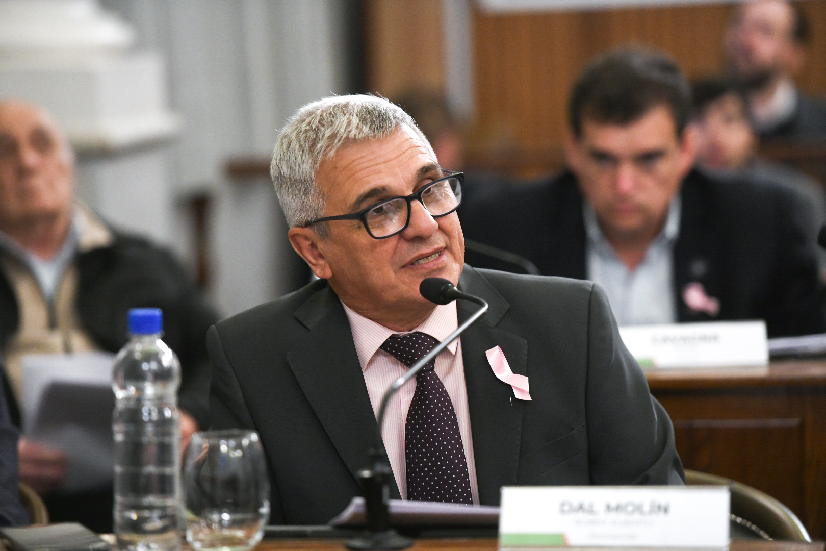 Dal Molin: «realismo» fiscal ante caída de coparticipación