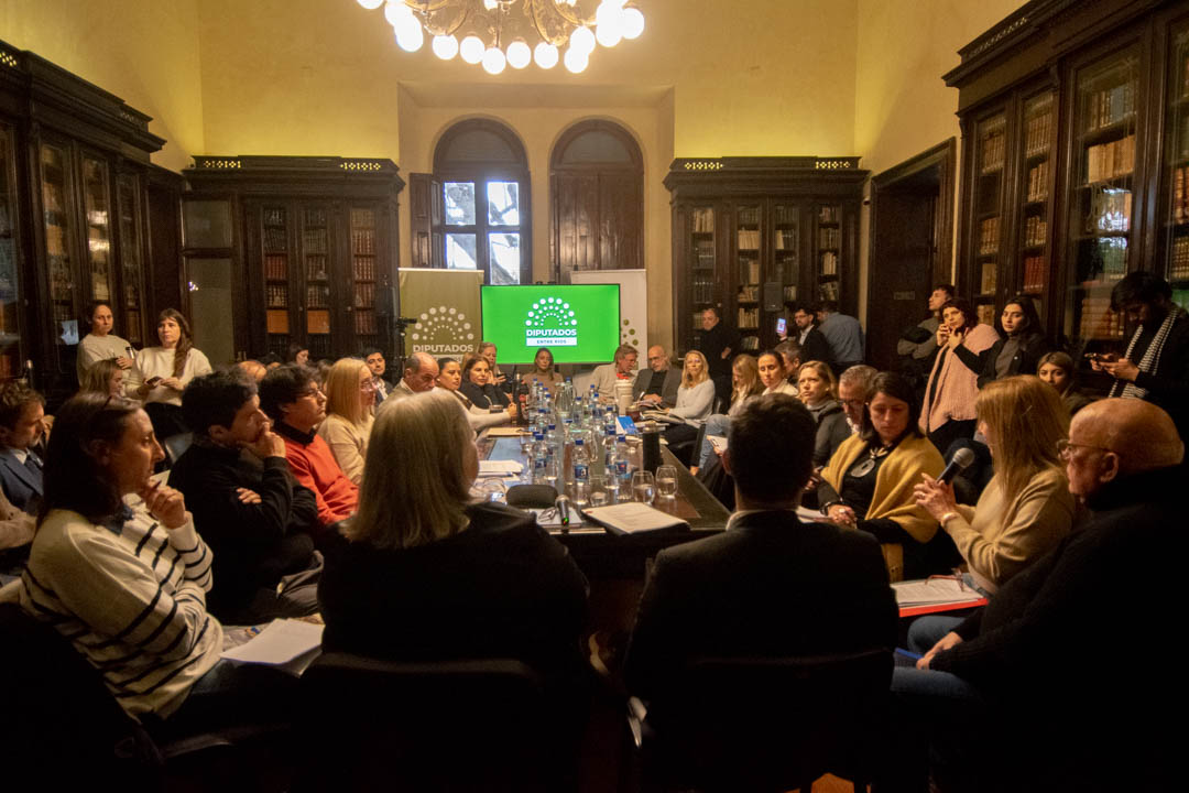 Reforma jubilatoria: el PJ criticó el cierre del debate en comisión