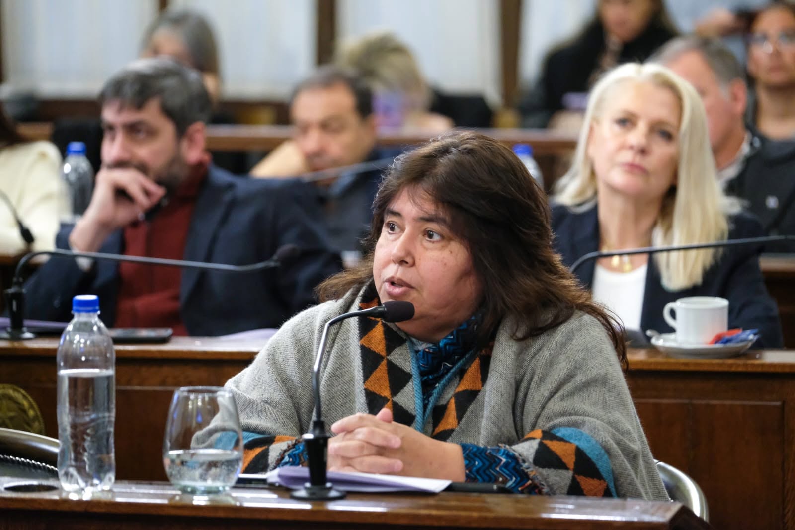 La senadora Miranda denunció amenazas a su hijo
