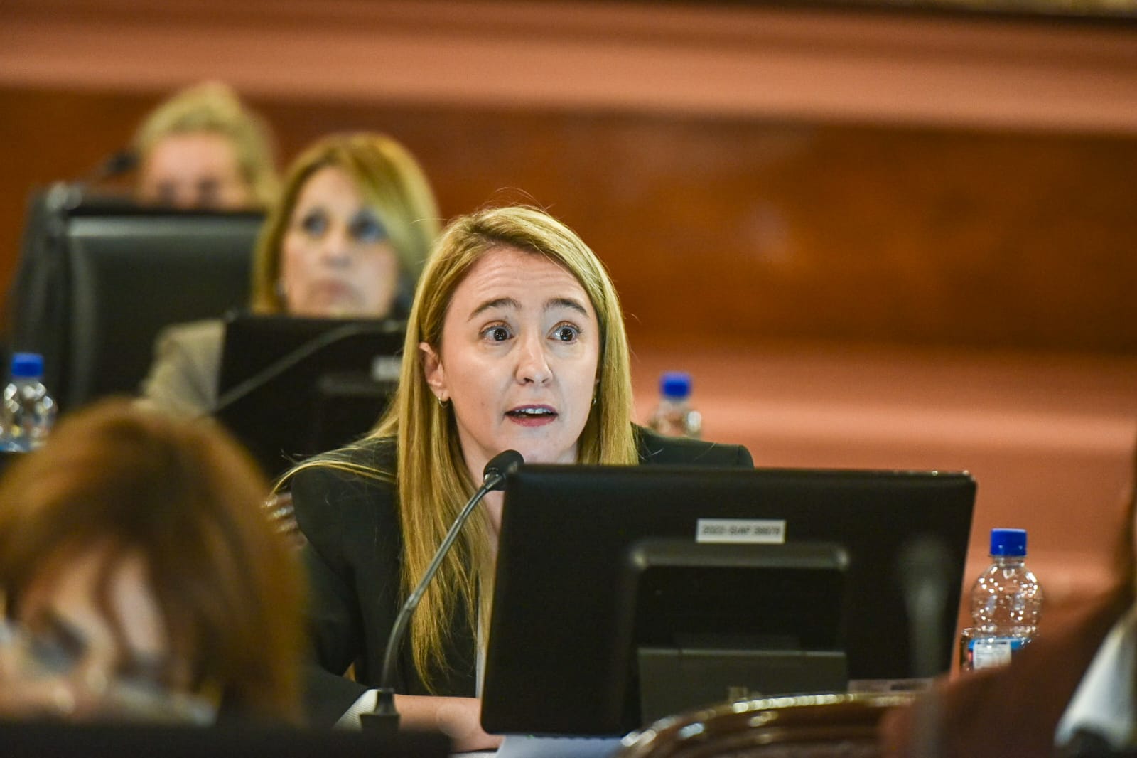 El PJ se abstuvo de votar la ley de alivio fiscal en Diputados