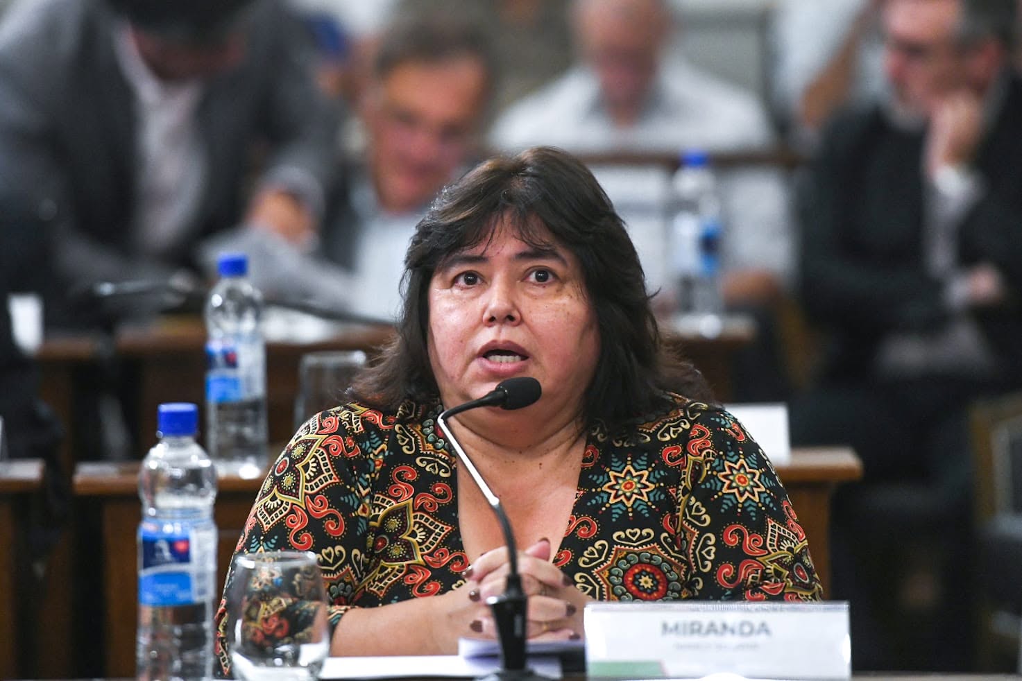Miranda: «El proyecto de Frigerio es muy parecido al de Bahl»